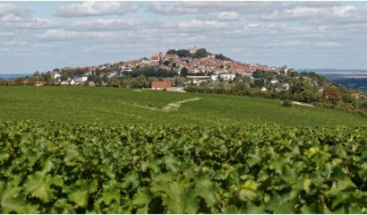 Reverdy-Cadet Sancerre