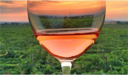 Rosé Touraine