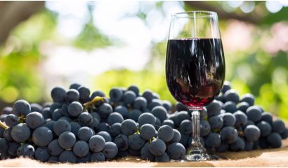Merlot Crianza Tarragona