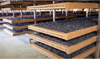 Amarone della Valpolicella Classico Veneto