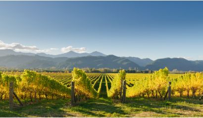 Glacier Peak Marlborough