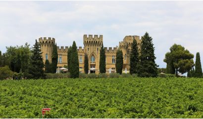 Le Petit Galet AOP Côtes du Rhône      