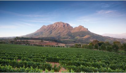 Avondrood Viognier