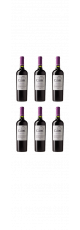 Caití Carménère Reserva Colchagua