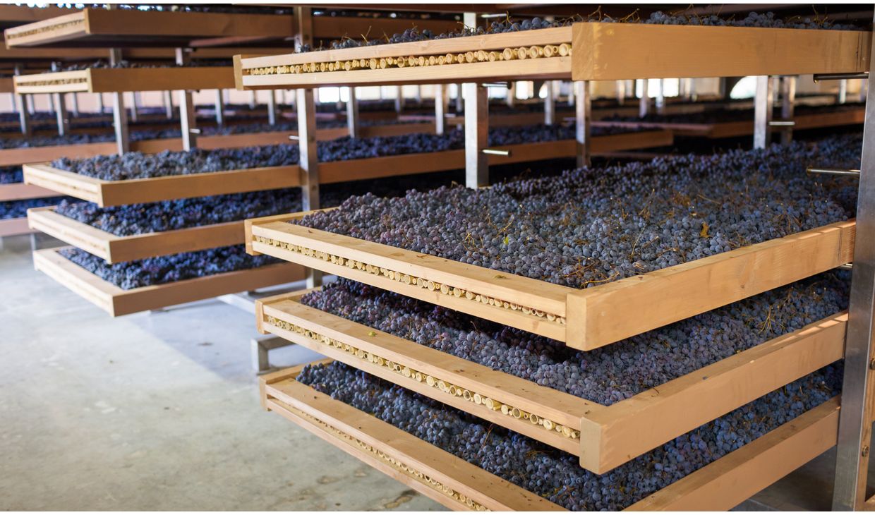 Amarone della Valpolicella Classico Veneto