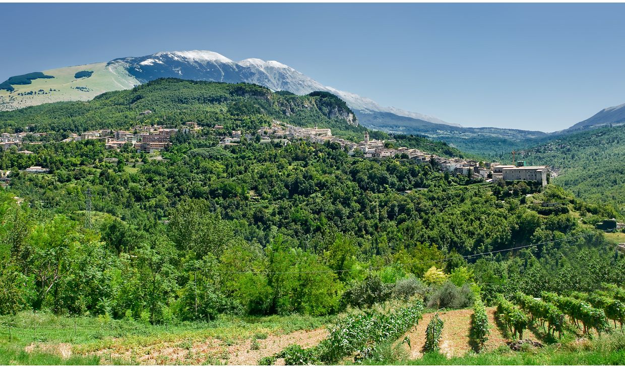 Isabelle de Castel Pinot Grigio
